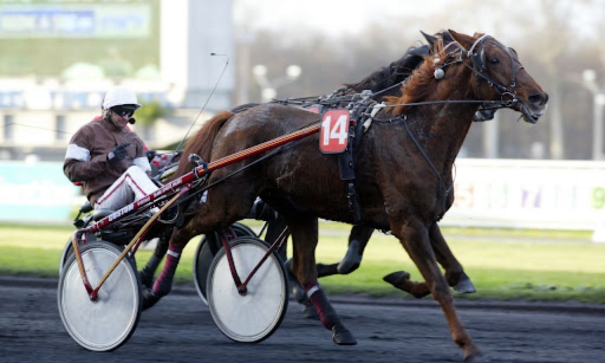 Pronostic et partants - PRIX DE SANARY-SUR-MER - 10/03/2023 - ENGHIEN SOISY R1 C8