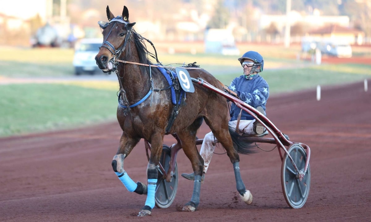 Pronostic et partants - PRIX DE LA CHARTRE SUR LE LOIR - 06/02/2023 - VINCENNES R1 C5