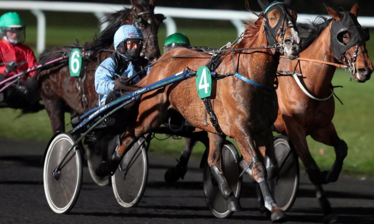 Pronostic et partants - PRIX ARIADNE - 26/10/2021 - VINCENNES R4 C7