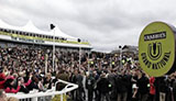 image Grand National Chase 2015, 40 partants Ã  Liverpool !