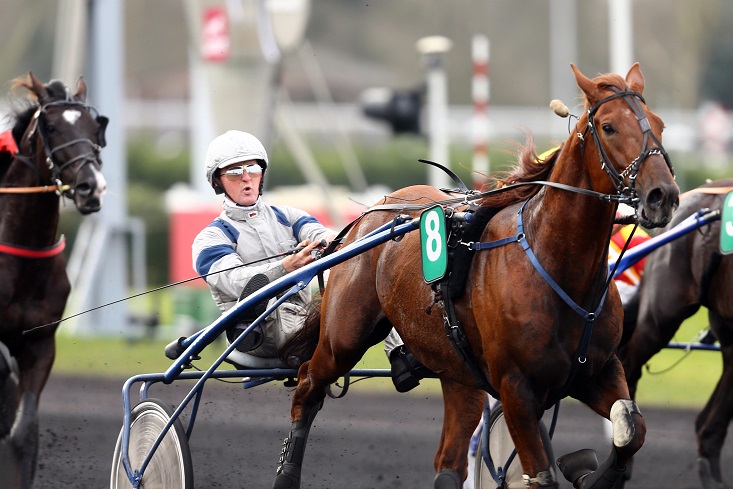 image Akim du Cap Vert dans le Prix de la Haye