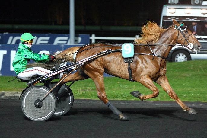 image Aladin d'Ecajeul favori du Prix Marcel Laurent