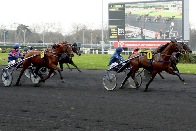 image Amiral Sacha dans le Prix du Bois de Vincennes