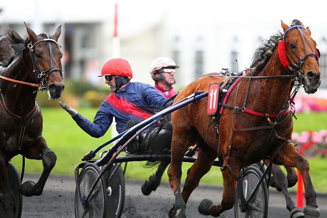 image Nevers : Aubrion du Gers face à Alderman