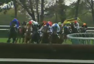 image Prix Jean Stern et IngrÃ© en steeple Ã  Auteuil