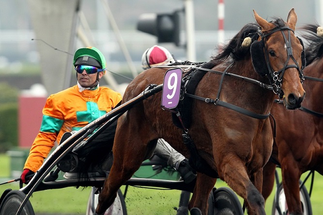 image Les "Guarato" Che Jenilou et Billie de Montfort en lice