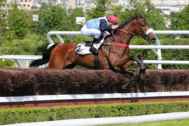 image Blue Dragon dans le Prix de Maisons-Laffitte