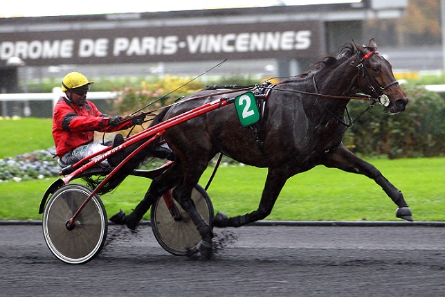 image U.E.T. : Bold Eagle en piste mardi soir