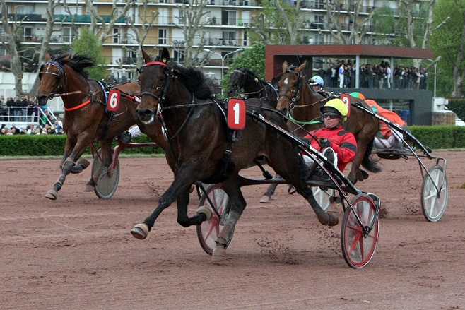 image Mons : Bold Eagle dans le GP de Wallonie