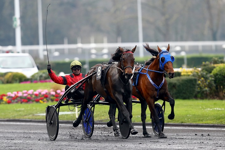 image Grand Prix de Paris : Bold Eagle/Timoko, acte III