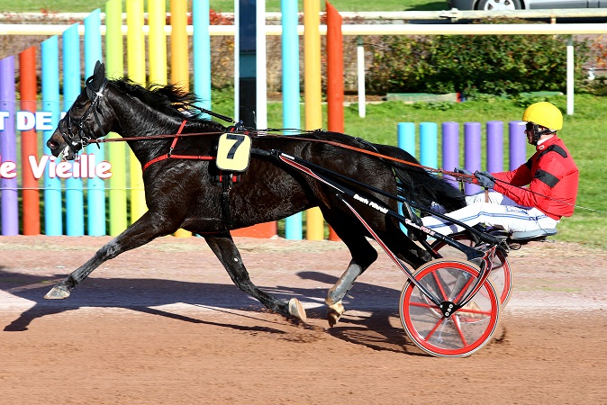 image Oscar Collard : Buzz Mearas débute à Vincennes