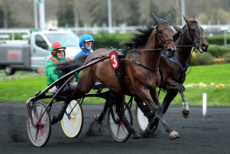 image Prix Paul Viel : Cahal des Rioults 1er ou Dai