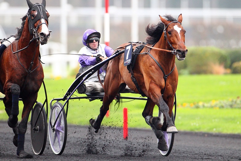 image Tonnac-Villeneuve : Charly du Noyer en piste