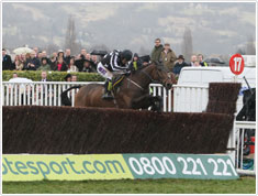 image Pariez sur le  festival de Cheltenham !