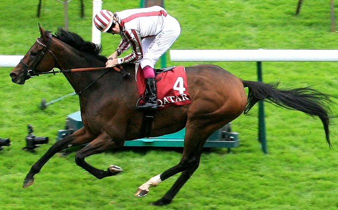 image Cirrus des Aigles dans les Champion Stakes