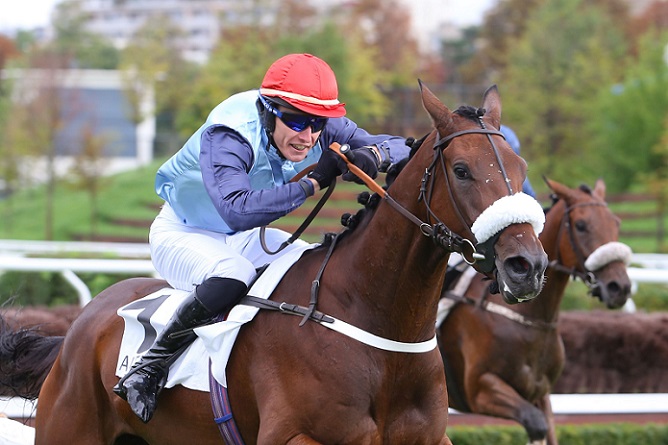 image Analyse du Prix Georges de Talhouet-Roy 2015