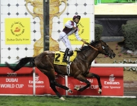 image Programme de la Dubai World Cup Night