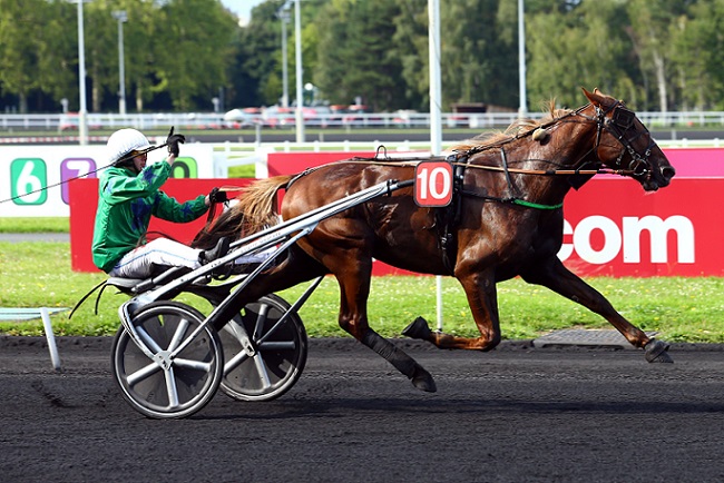 Critérium des 3 Ans 2017 : Ecu Pierji favori