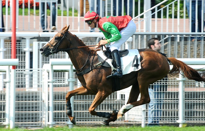 image Prix Pierre de Lassus et Montgomery Ã  Auteuil