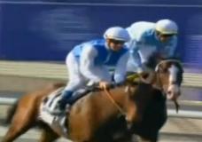 image Breeders Cup samedi : Le pari fou de Goldikova