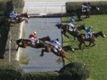 image Acteurs du Grand Steeple Chase de Paris - Des sportifs de l'extrÃªme