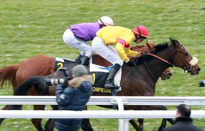 image Auteuil : Prix Hubert d'AilliÃ¨res et Lutteur III