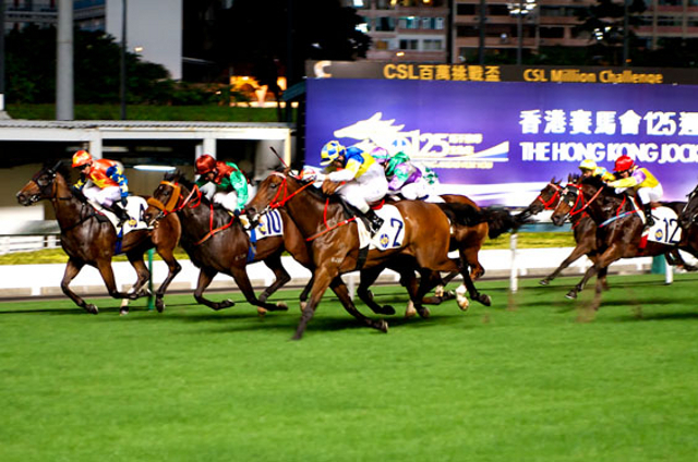 image Hong Kong Cup : dernier volet de la saison internationale de plat