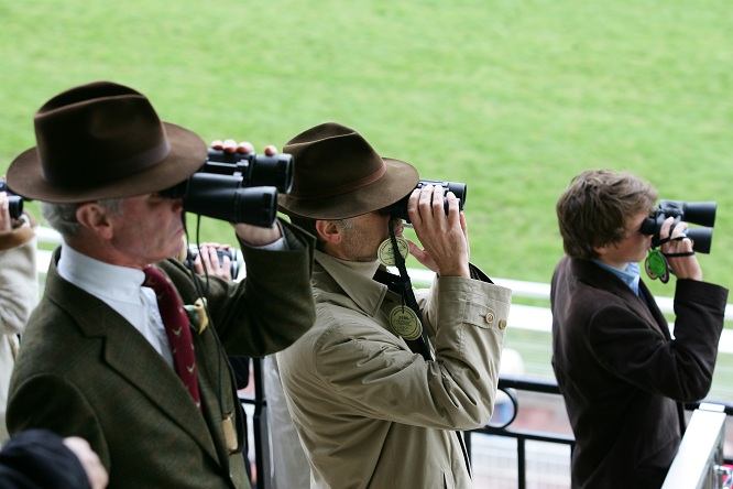 10 trotteurs repérés à suivre prochainement