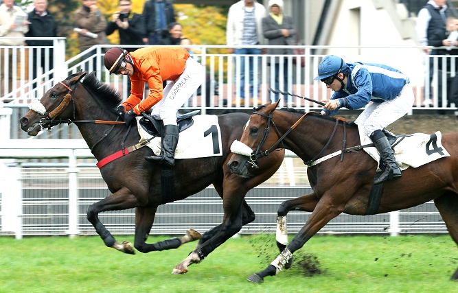 image Auteuil : Prix Univers II et Duc d'Anjou