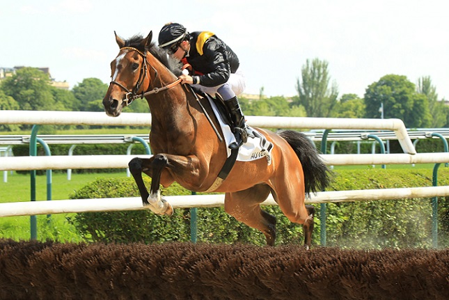 image Auteuil : Prix La Barka sans Blue Dragon