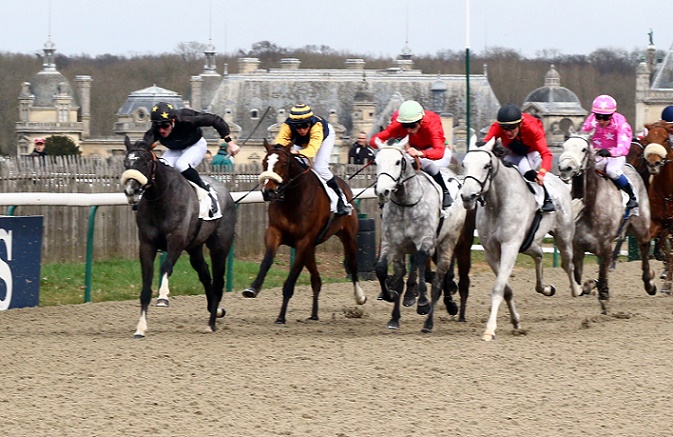 image Quinté de mardi à Saint-Cloud : Le Pin favori