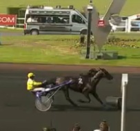 image Bois de Vincennes, Leben Rl dÃ©pose Royal Dream 