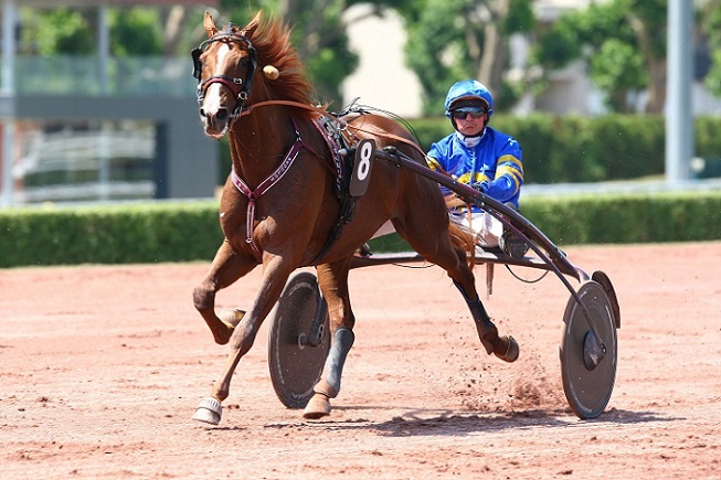 image Olympiatravet : Des rapports complètement fous !