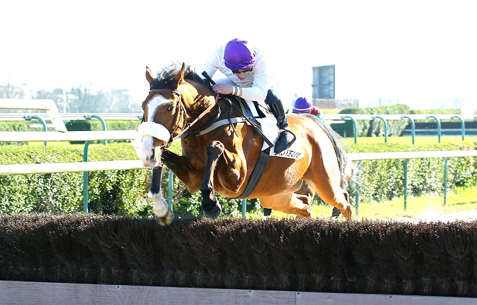 image Samedi Ã  Auteuil : Prix Fleuret et HypothÃ¨se