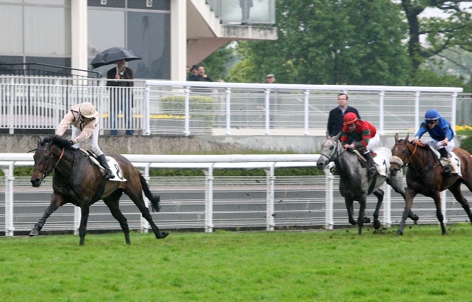 image Nikita du Berlais en piste jeudi Ã  Auteuil