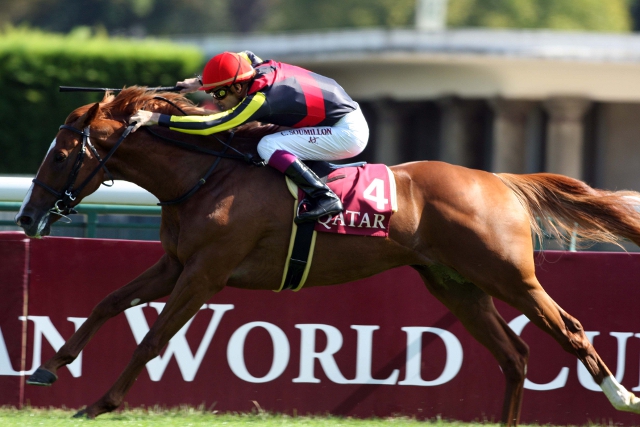 image Japan Cup 2012, la revanche du Prix de l'Arc de Triomphe