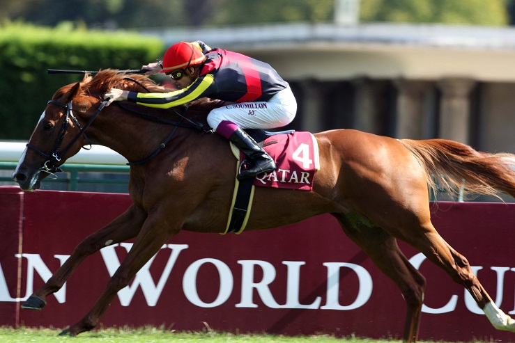 image Solemia et Orfevre au dÃ©part de la Japan Cup