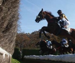 image Le Parcours du Grand Steeple Chase de Paris