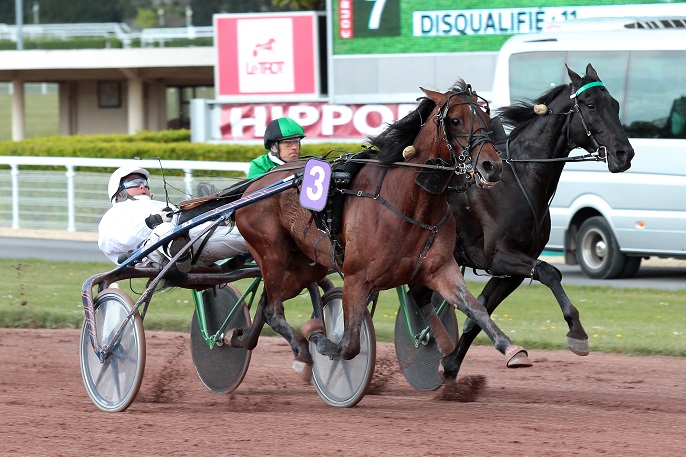 image Pascia'Lest dans le Prix de New York