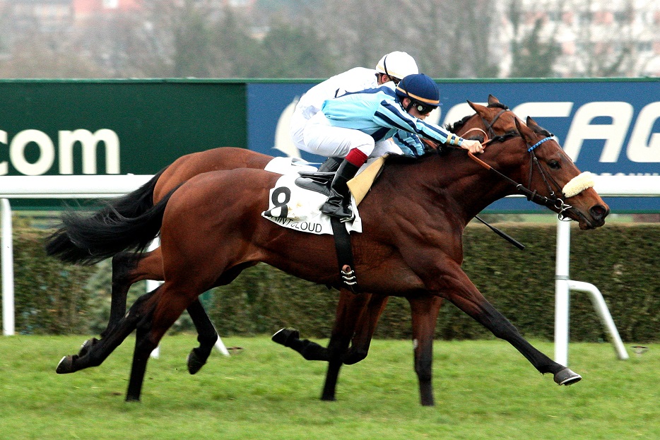 image Piment Rouge, bel outsider du Prix EugÃ¨ne Adam