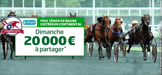 image Critérium Continental 2015 : Top des offres turf