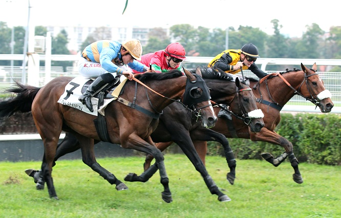 image Grand Steeple-Chase d'Enghien samedi