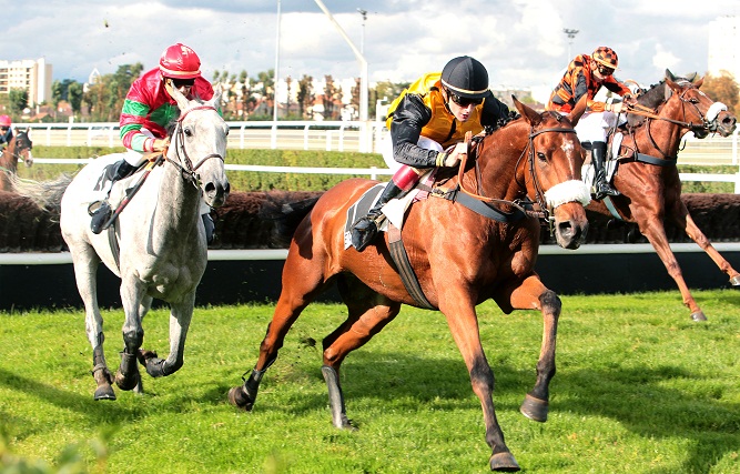 image Grand Steeple-Chase d'Enghien ce samedi