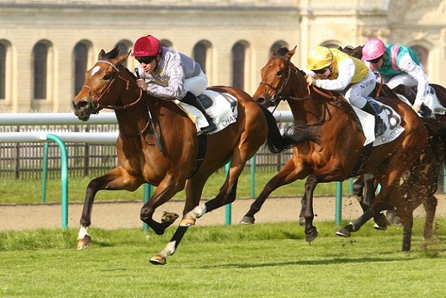 image Deauville : Qemah en lice dans le Prix Rothschild