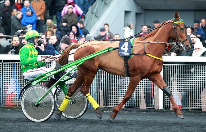 image Quoumba du Guez vise un 2Ã¨me Prix Jamin