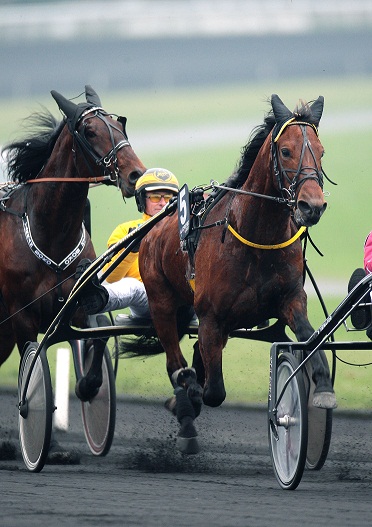 image Titus de Baffais et Qwerty en piste dimanche