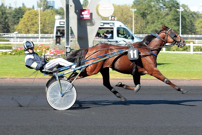 image Prix de la Ville de Caen : Ramsey du Ham gagne