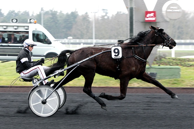 image Rapide Lebel dans le Prix Kerjacques