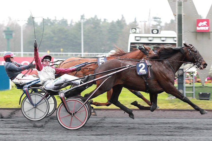 image GP de Wallonie : Match Ready Cash/Timoko