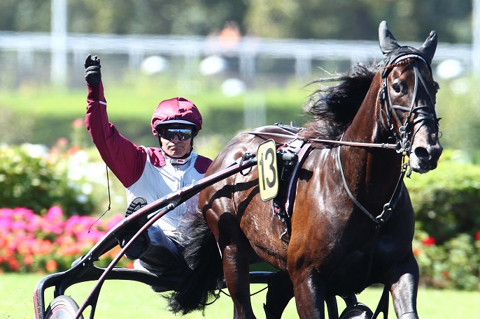 image Ready Cash dans le Grand Prix La Voix du Nord